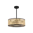 Ventilateur de plafond Savoy House Astoria 25-FD-1650-89 36W 27 Noir mat