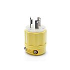 Leviton 26CM-21 Bouchon résistant à la corrosion