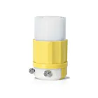 Leviton 26CM-13 Bouchon résistant à la corrosion