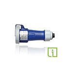 Leviton 430C9WLEVPIA 30A P/S Connw Indication Nsf-Bleu