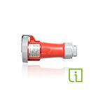 Leviton 430C7WLEVPI Connecteur broche/manchon 30AAvec Ind-rouge