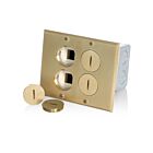 Leviton 35249-TLB Boîte de sol basse tension à 2 groupes, 15A, en laiton