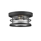 Plafonnier Extérieur Savoy House Barrett 5-369-13-Bk 2 Lumières 120W Noir