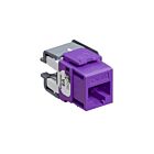 Leviton 6110G-RP6 Prise violette 10G 8P8C