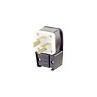 Leviton 8462-P Prise coudée 15-60P