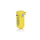 Leviton GSRM1 PortAutotest GfiAngle Droit Mnl 15A