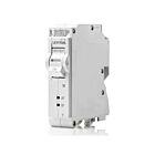 Leviton LB120-DFT Disjoncteur TMAfci/Gfci 1 pôle 20A