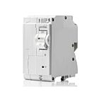 Leviton LB220-EP Disjoncteur de dérivation Gfpe 2P 20A 120/240V 10Ka