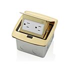 Leviton PFTR1-BR Boîte de sol escamotable avec prise inviolable 15 A 