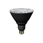 Turolight VIV-PAR38-I90-16W-30-WFL40-D-BK 16W PAR38 Noir LED Ampoule