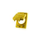 Leviton WTCVS-30 Jaune Couverture et Joint