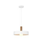 Access Lighting 23798-WH-WGN Slate 1-Lumière Incandescence 60W Blanc avec grain de bois Suspendu