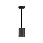 Suspendu à tige Access Lighting Pilson 29000-MBL 60W Noir mat