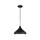 Access Lighting 52086-BL-WGN Olivia 1-Lumière Incandescence 60W Noir Suspendu