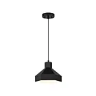 Access Lighting 52088-MBL Poly 1-Lumière Incandescence 60W Noir mat Suspendu