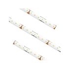 American Lighting STLHD-UWW-100 2.19 W/ft 100' Bande lumineuse sous l'armoire