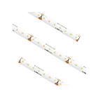 American Lighting STLHD65-UWW-16 2.19 W/ft 16.4' Bande lumineuse sous l'armoire