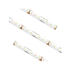 American Lighting STLHD65-WW-16 2.19 W/ft 16.4' Bande lumineuse sous l'armoire