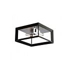 Plafonnier Artcraft Vineyard AC10063BC 60W 2-lumières noir et chrome