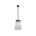 Artcraft AC10640BK Dahlia 60W Noir Suspendu