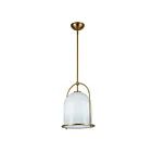 Artcraft AC10650BR Dahlia 60W Laiton brossé Suspendu