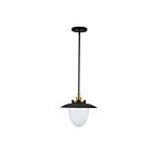 Artcraft AC11905BB Dahlia 60W Noir Suspendu