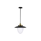 Artcraft AC11906BB Dahlia 180W Laiton brossé Suspendu