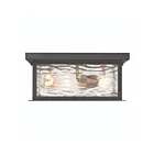 Artcraft AC9276BK Estate 120W Noir et laiton Plafonnier encastré