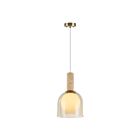Artcraft SC13380BR Juna 1-lumière 60W Laiton Suspendu