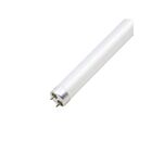 Beyond LED 153482 18W 5000K 4' T8 LED Verre Tube 
