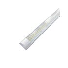 Beyond LED 156830 4' T8 LED Tube Wattage et CCT sélectionnable