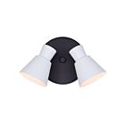 Canarm Radley ICW1163A02BW10 2-Lumières Noir mat et blanc mat Éclairage Sur Rail