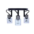 Canarm ICW1198A03BKW10 150W Noir mat Lampe sur rail