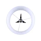 Canarm IFL2126B62BKW 1-Lumière 150W Noir mat Lampe sur pied