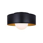 Canarm Daylon IFM1150A13BK 1-Lumière Noir mat Plafonnier