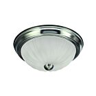 Plafonniers Canarm IFM31151N 2-Lumières 80W Étain brosséÉtain 