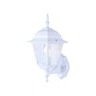 Canarm IOL111 100W Blanc Lumière extérieure