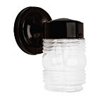 Canarm IOL2010 60W Noir Lumière extérieure