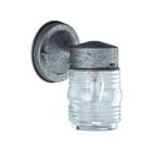 Lanterne murale d'extérieur Canarm IOL2075 1-lumières 60W antique pewter