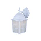 Canarm IOL2511 100W Blanc Lumière extérieure