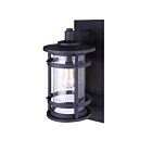 Lanterne murale extrieur Canarm IOL340BK Duffy 1-lumière 100w Noir