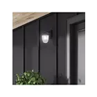 Canarm IOL698BK 60W Noir Lumière extérieure