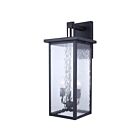 Canarm IOL705BK Shana Noir 120W Lumière extérieure