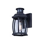 Canarm IOL715BK Buckly Noir 100W Lumière extérieure