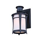 Canarm IOL716BK Casper Noir 100W Lumière extérieure