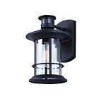 Canarm IOL717BK Dakota Noir 100W Lumière extérieure