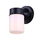 Canarm IOL771BK Jude 60W Noir mat Lumière extérieure