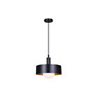 Canarm Daylon IPL1150A01BK 1-Lumière Noir mat 60W Suspendu à corde