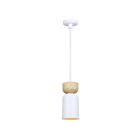Canarm Caleb IPL1152A01WHW 1-Lumière Blanc mat et faux bois Luminaire Suspendu