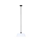 Canarm IPL1201A03BK20 3-Lumières 180W Noir mat Suspendu